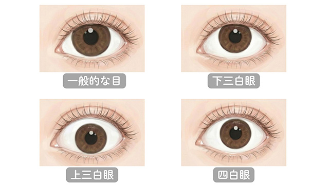 三白眼の種類を図解　下三白眼・上三白眼・四白眼