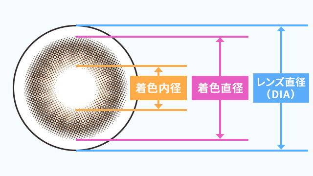 着色直径とレンズ直径(DIA)と着色内径について