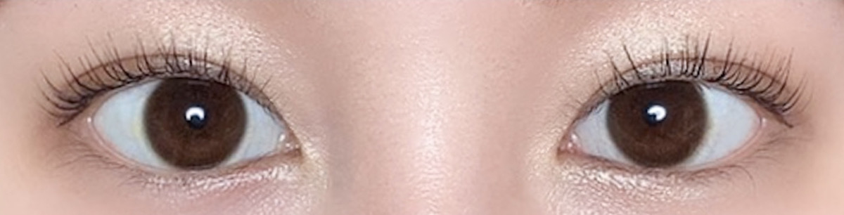 レヴィア ブルーライトバリアワンデー カラー ベーシックバリア 両目装用画像