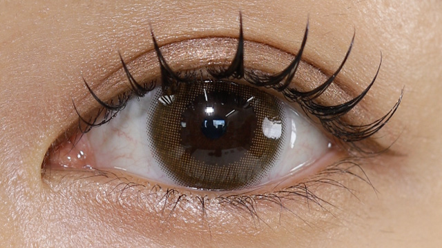 フランミー きなこロール 10枚 装用画像