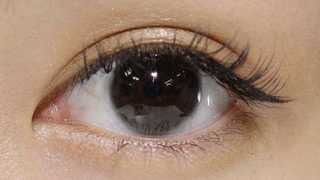 チューズミー ベイビーブラウン 装用画像