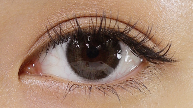 フェリアモ コーヒーゼリー 装用画像