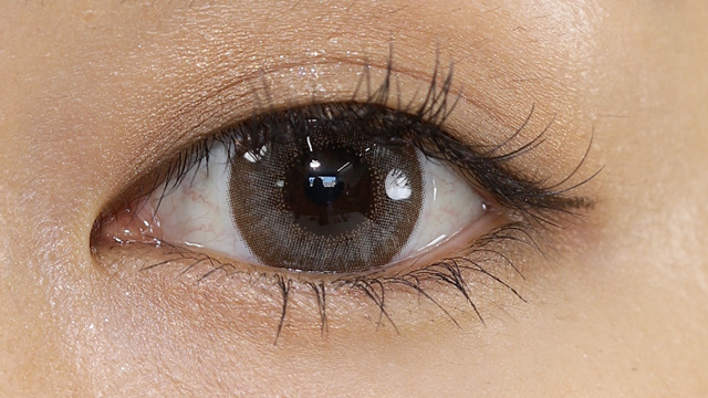 フルーリー パールライトブラウン(ぽんぽこたぬき) 装用画像