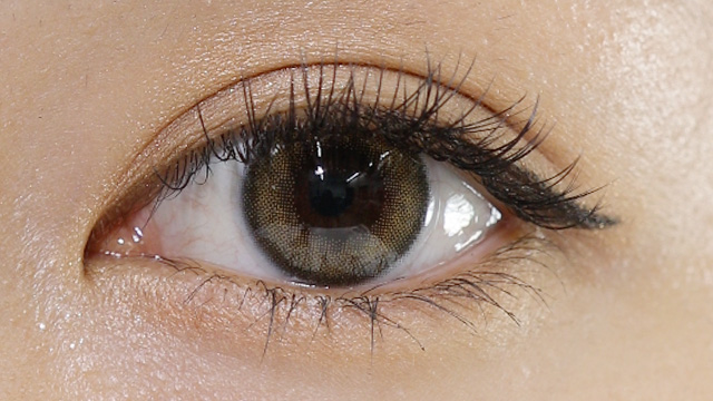 ビュームワンデー 満月パンケーキ 10枚入 装用画像