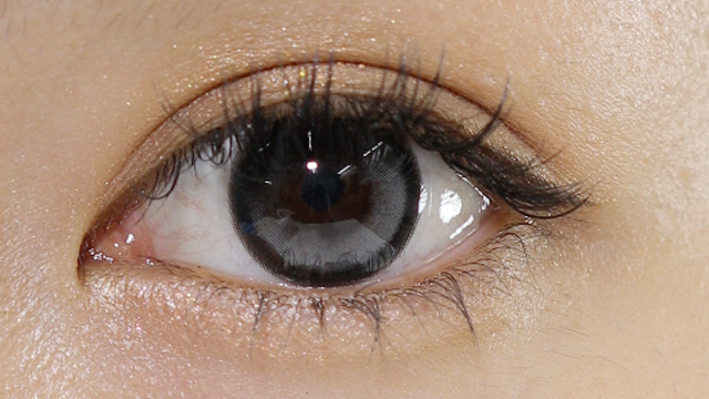 オーレンズ ビッググローイワンデー グレー 装用画像