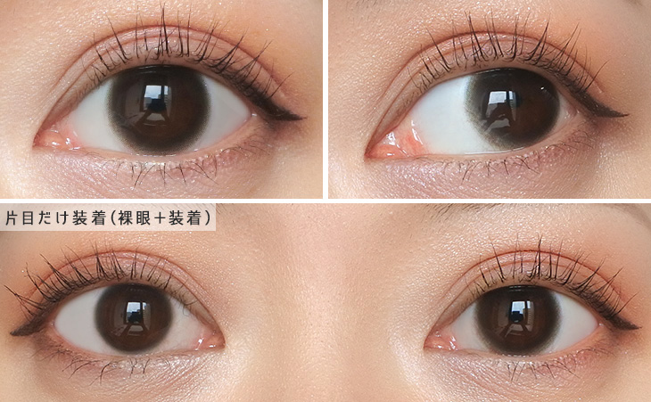 チューズミー ベイビーブラウン 着レポ画像