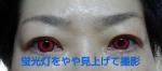 レビュー写真