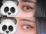 レビュー写真