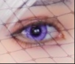 レビュー写真