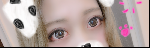 レビュー写真
