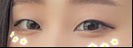 レビュー写真