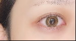 レビュー写真