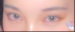 レビュー写真
